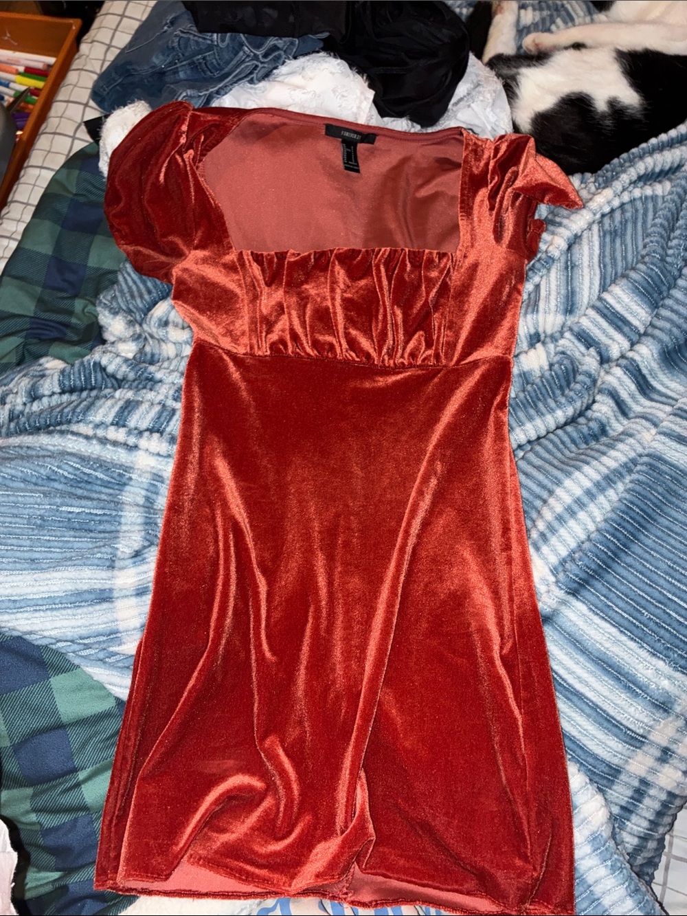 Forever 21 Rust Red Velvet Square-Neck Mini Dress
